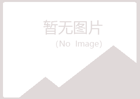 安图县迷茫司法有限公司